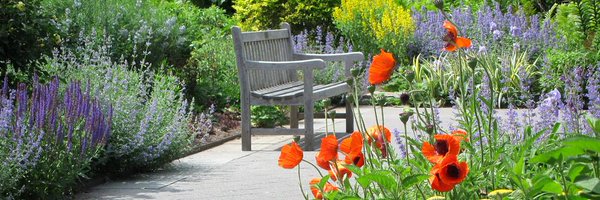 BackwardGarden Profile Banner