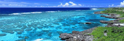 kiku_8131's profile banner image