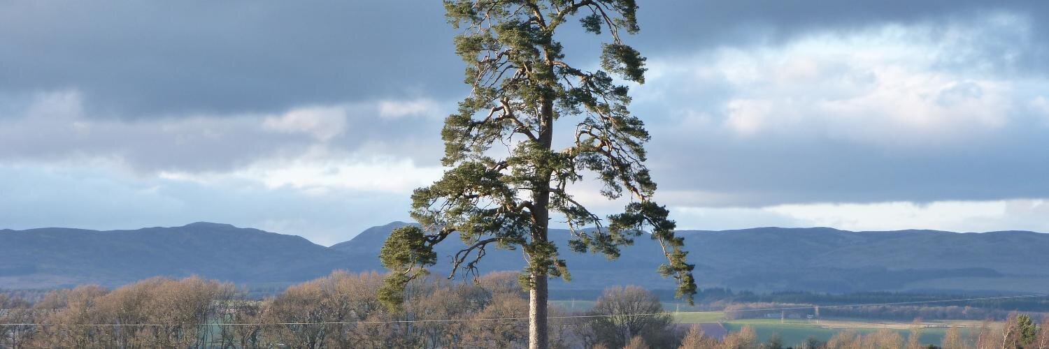 Which Cottage banner