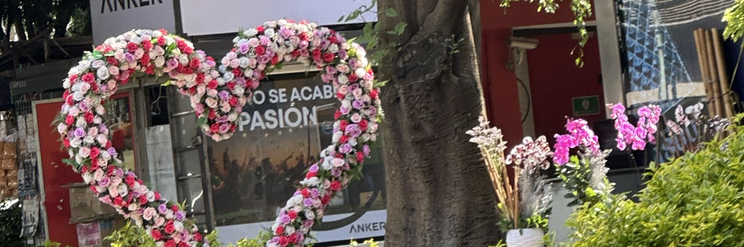 Sun_Flowermx's profile banner image
