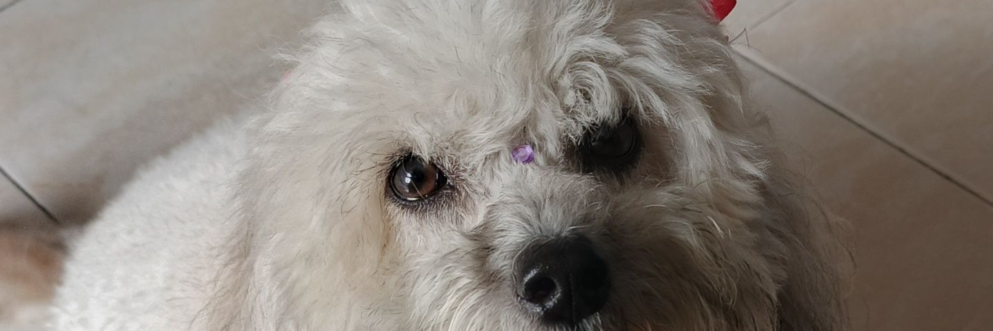 pnyenny's profile banner image