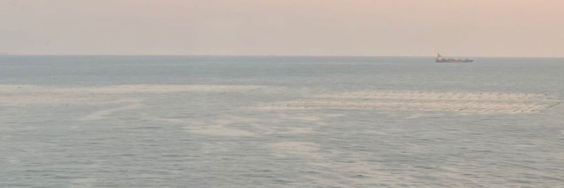 K° banner