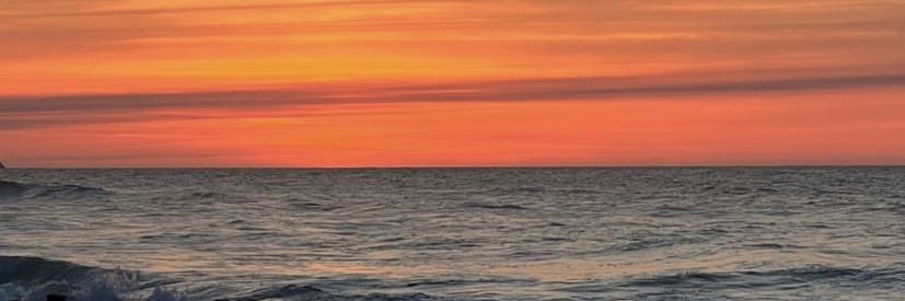 Laura_TF19's profile banner image