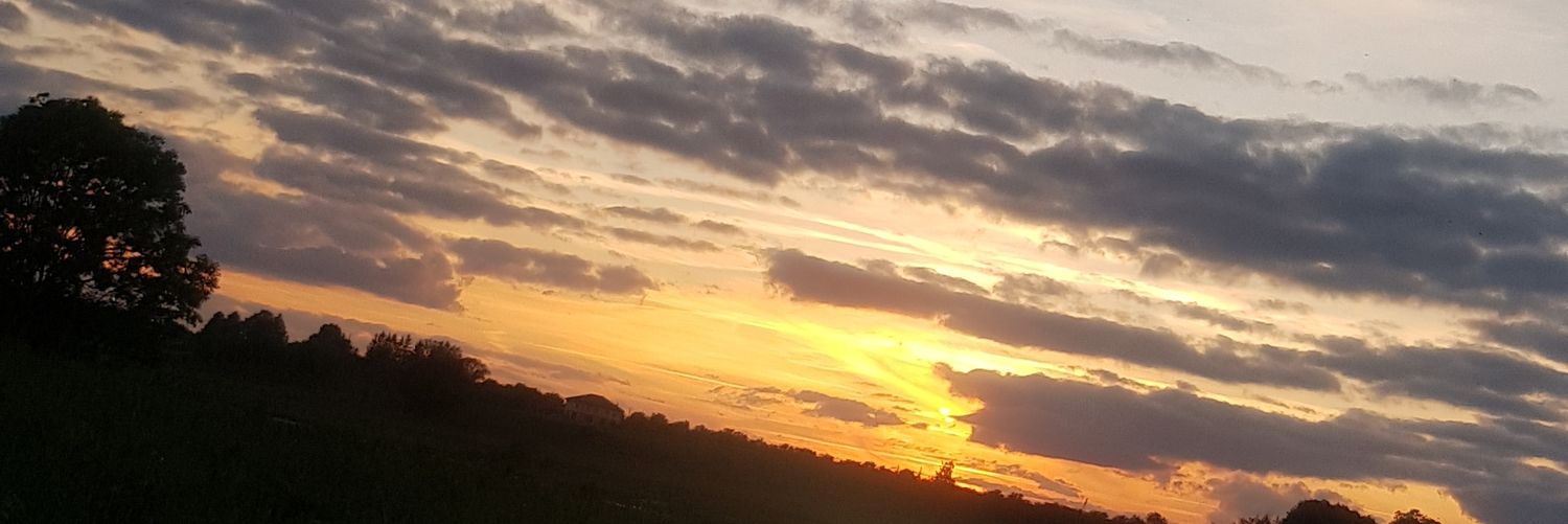shilly161's profile banner image