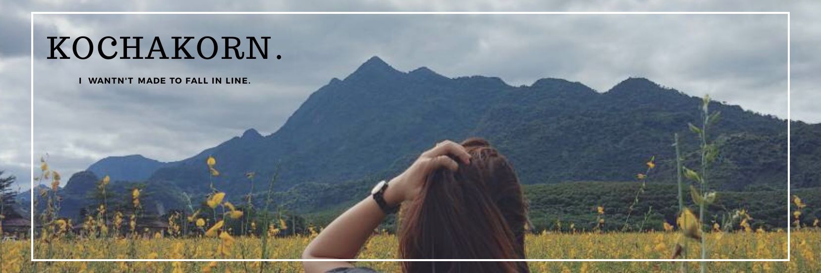 KatipMimoza's profile banner image