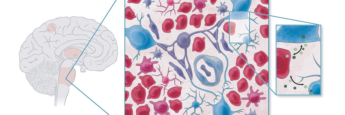 Mariella Filbin banner