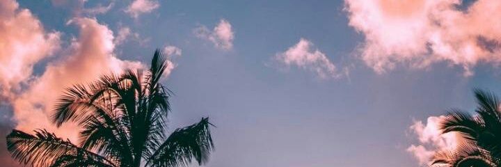 LourdesGuerraDo's profile banner image