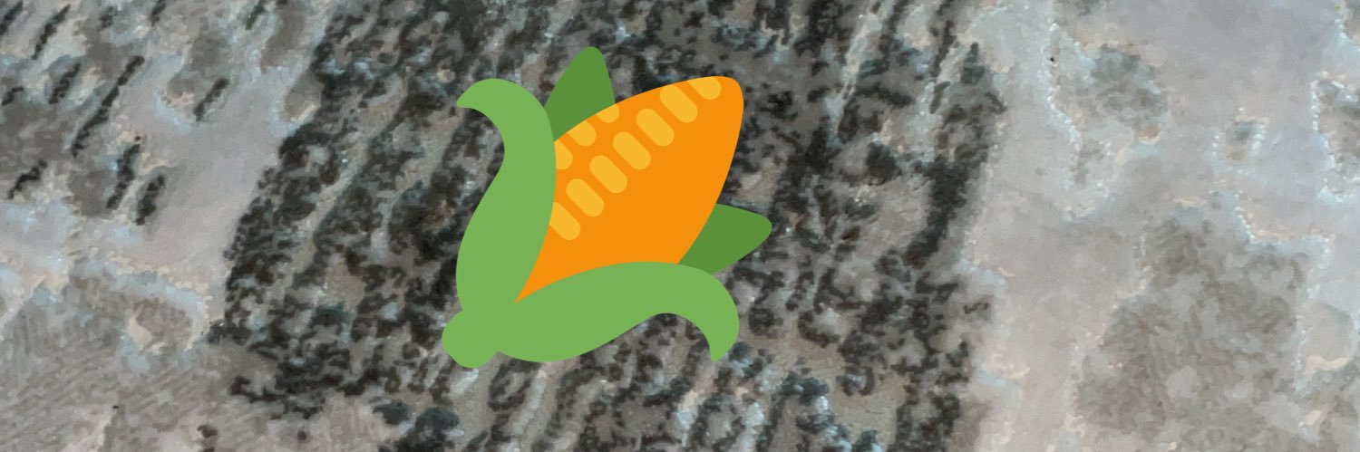 cinarsa's profile banner image