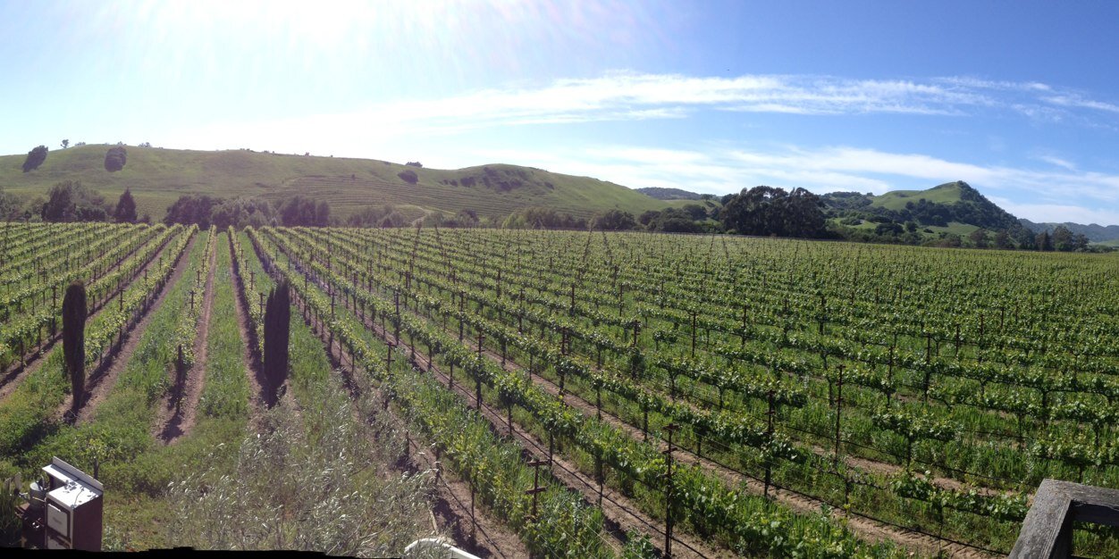 mitchbrown's profile banner image