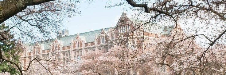 YNuniversity banner
