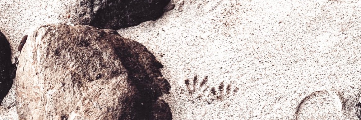 samsalr's profile banner image