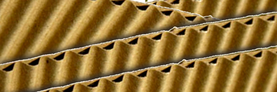 Plaform's profile banner image