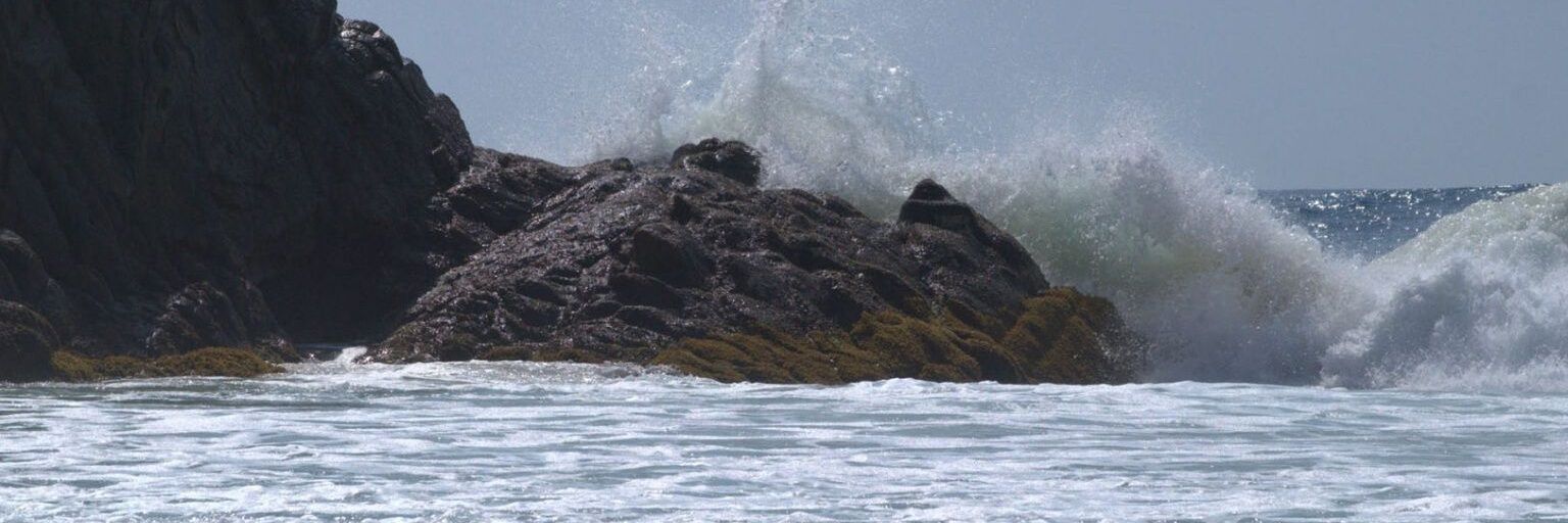 Dalia M. Martínez banner