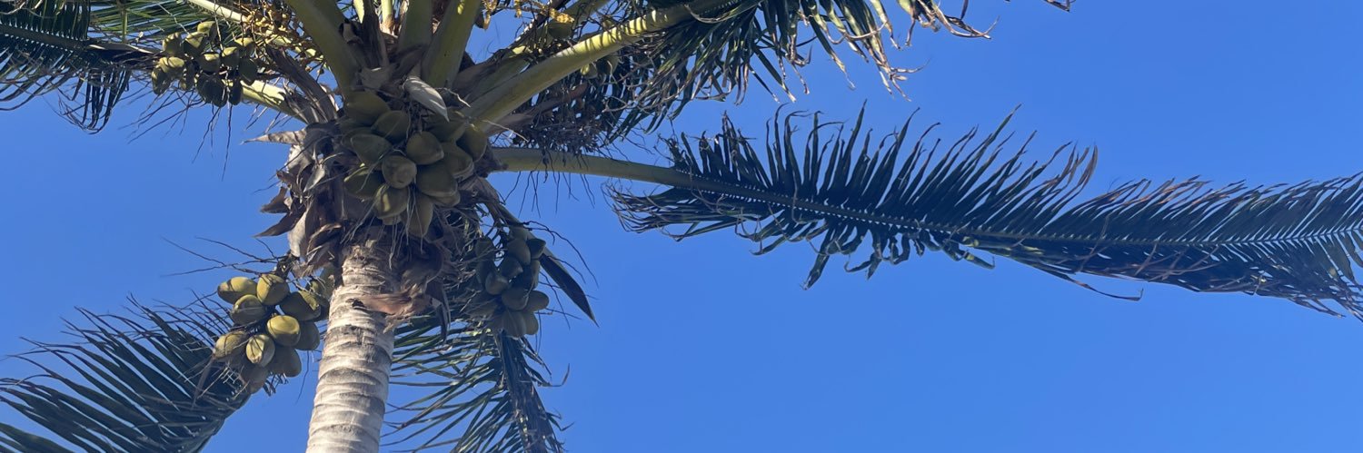 MitchQb's profile banner image