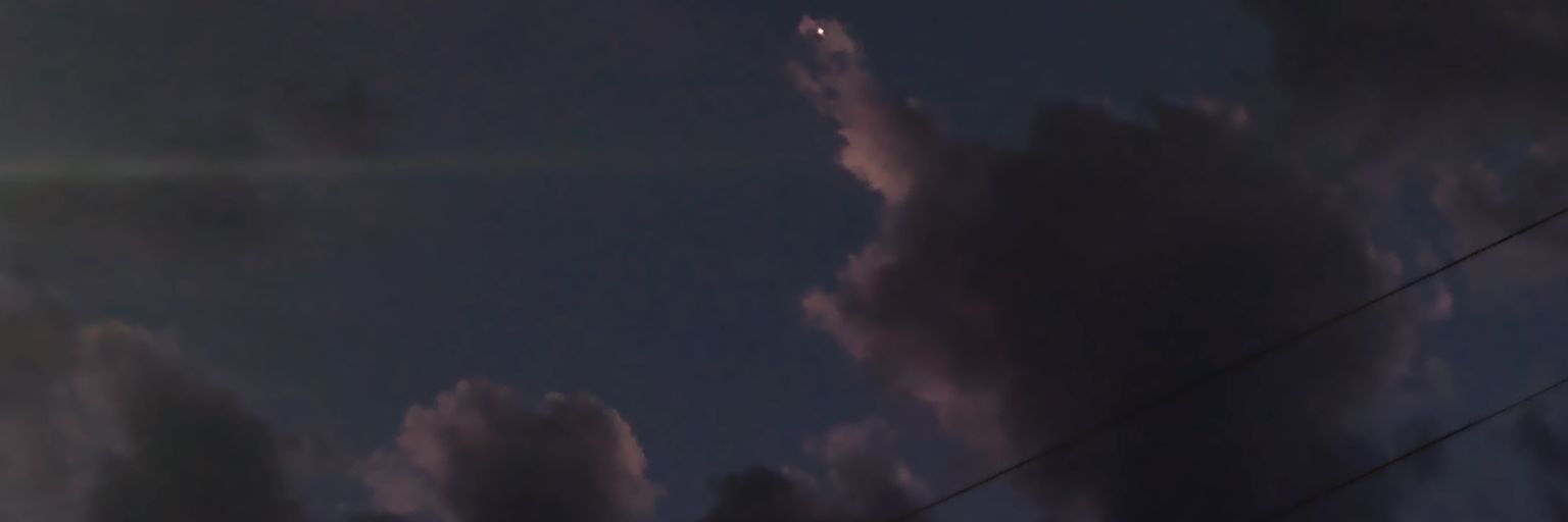 Miel_Tata's profile banner image