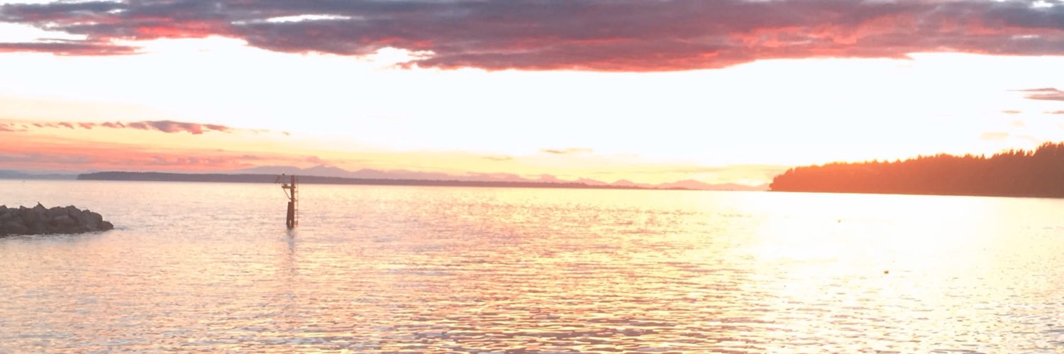 Filmbiz1's profile banner image