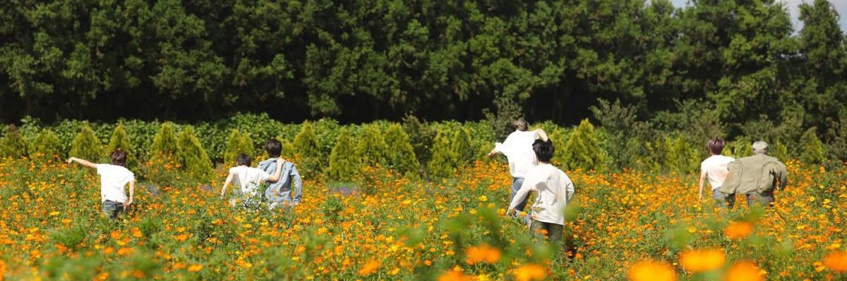 rhi ☻ saw enha! and is seeing bts & lykn! banner