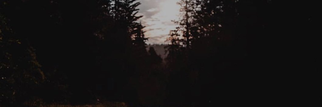 dan banner