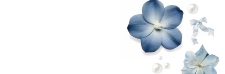 jeanxnl's profile banner image