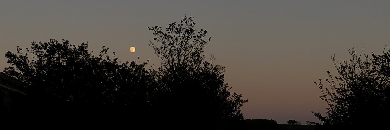 HaydnMason's profile banner image