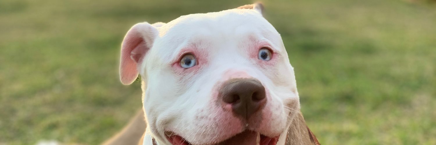 Aarón Chávez banner