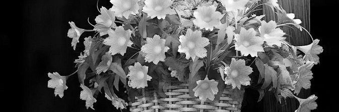 ام عبود . banner