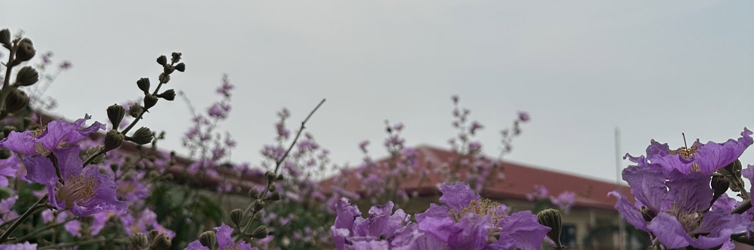 lmngrc's profile banner image