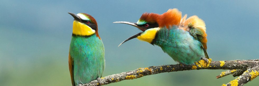 GiovanniDeLucaA's profile banner image