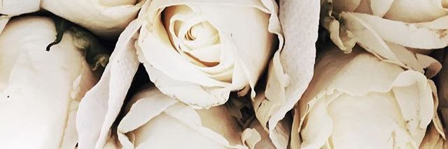 HelemRamirez's profile banner image