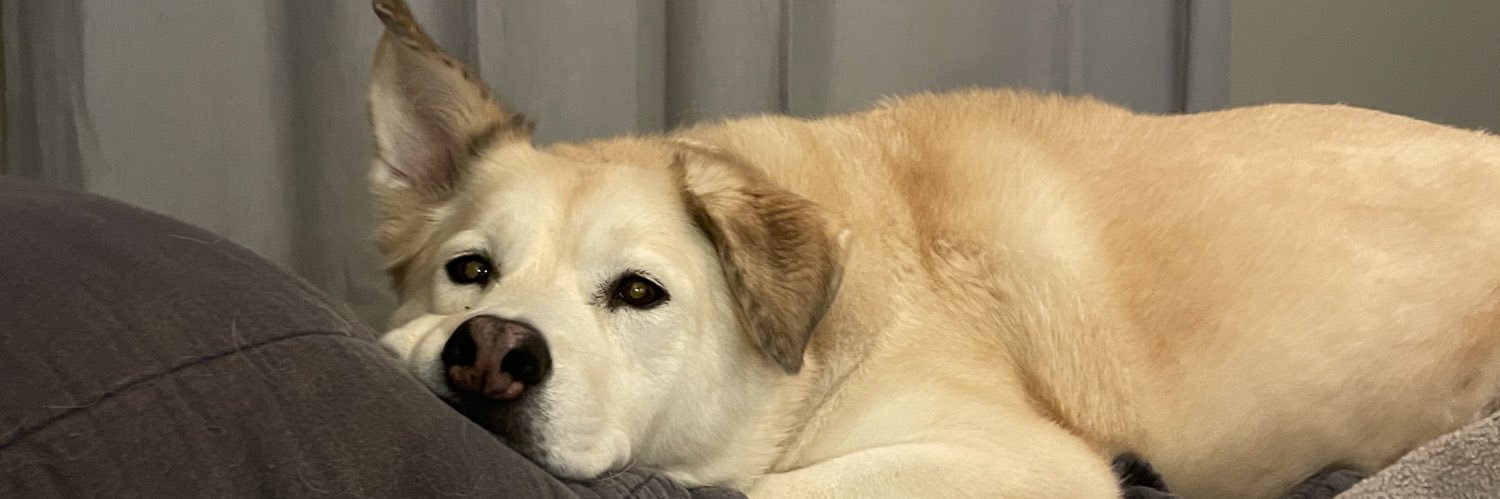 T_Ashley's profile banner image
