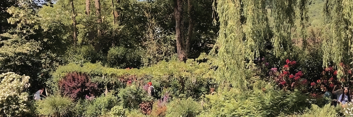 sheraa’s🝮ᵎ mt after dm banner