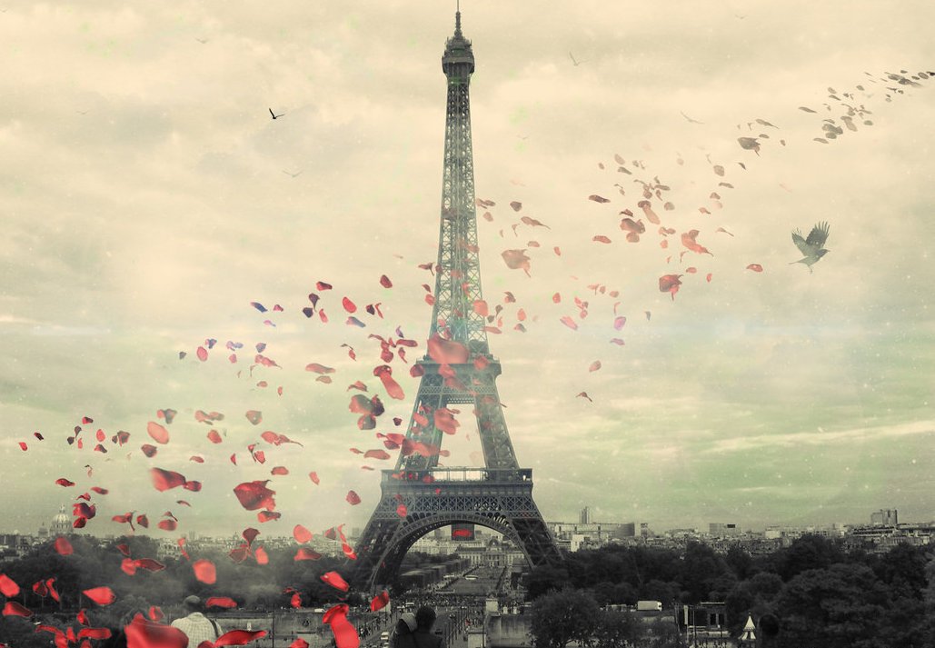 OpyFd's profile banner image