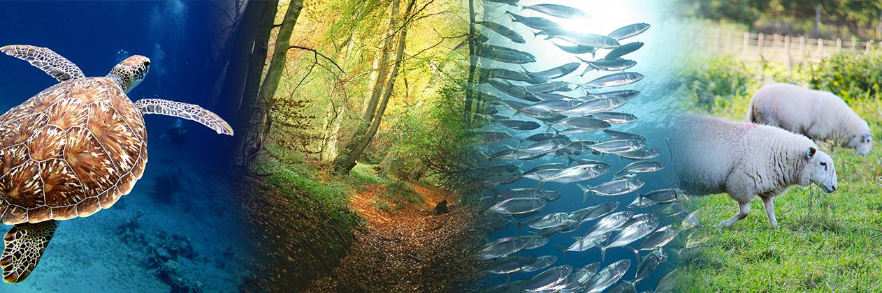 Tamara Finkelstein banner