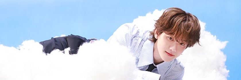 zoe's banner