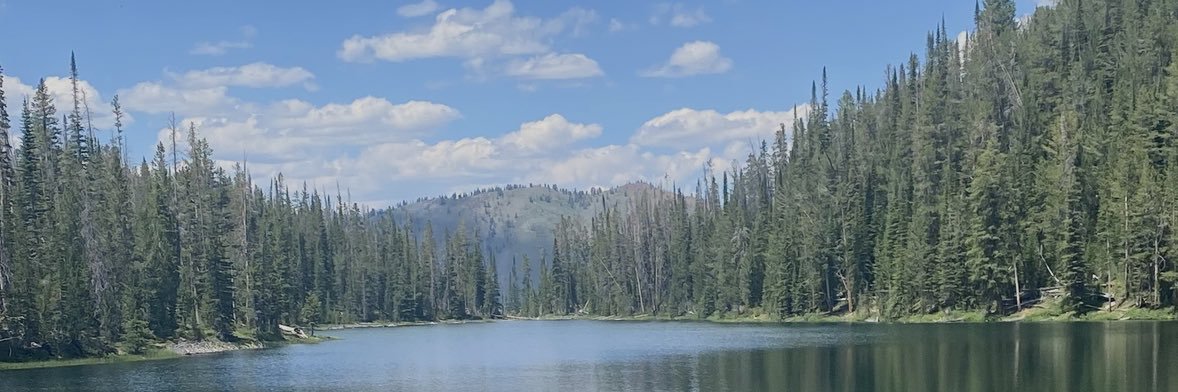 carolinapaezb's profile banner image