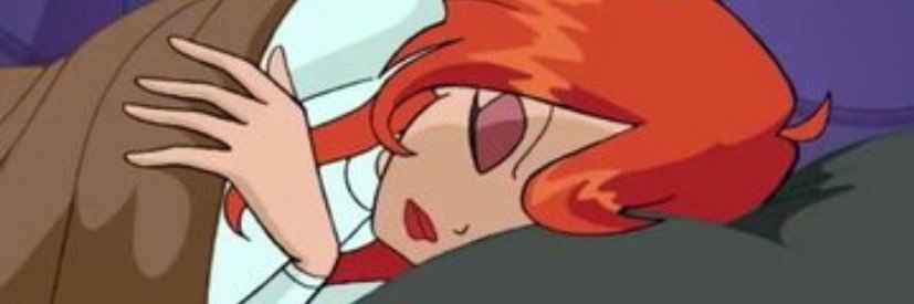SedaaTasyurek's profile banner image