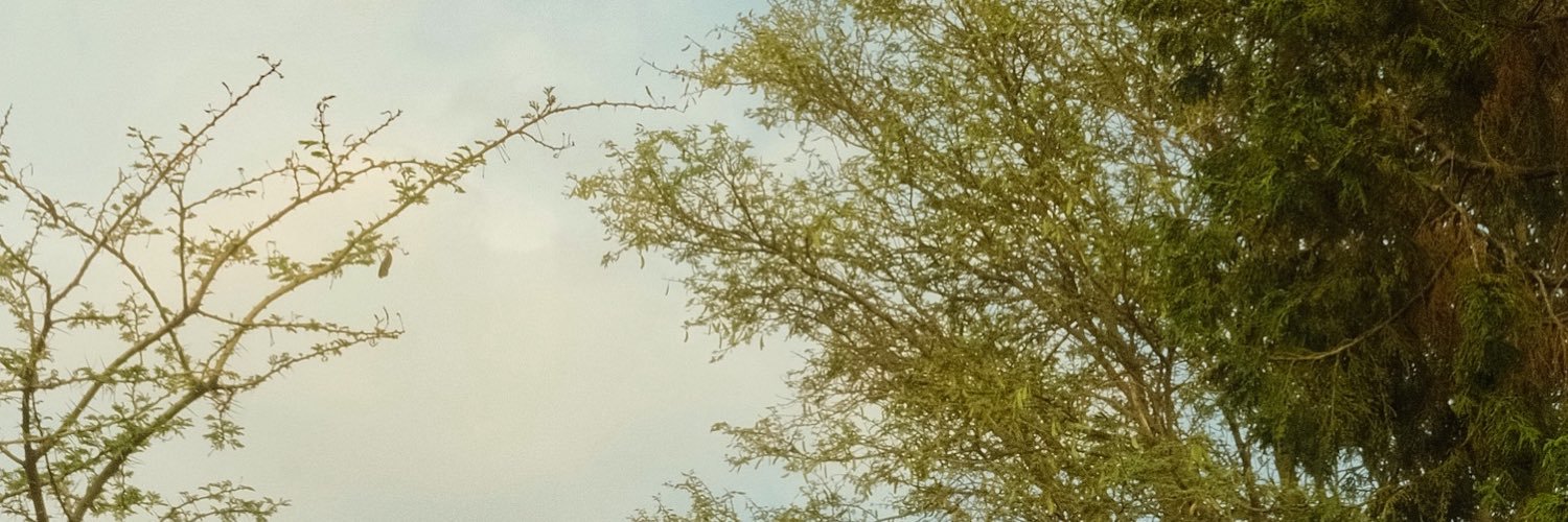 lluli__'s profile banner image