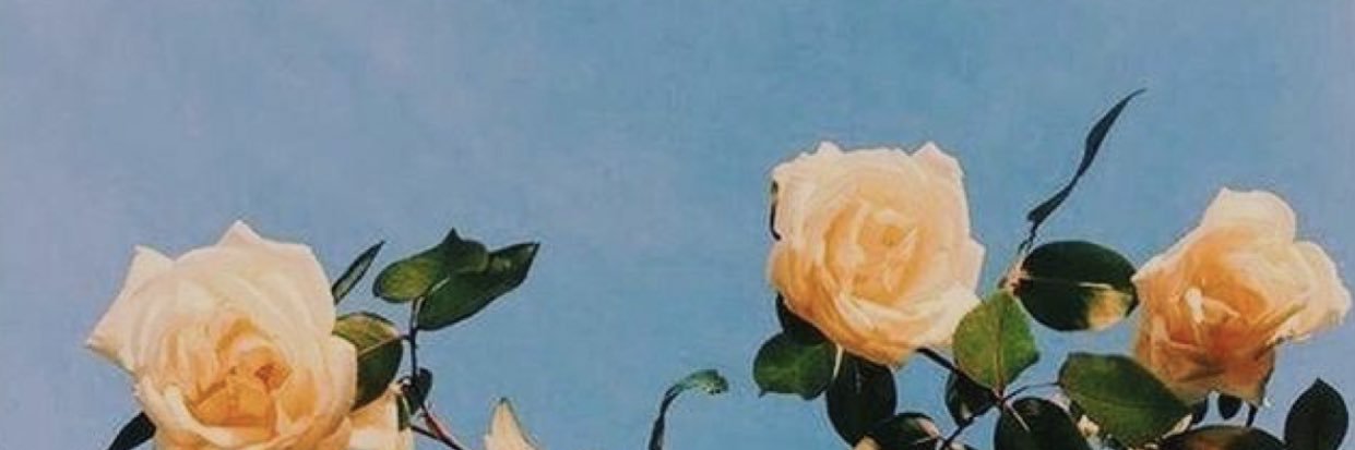 _rebepadron_'s profile banner image