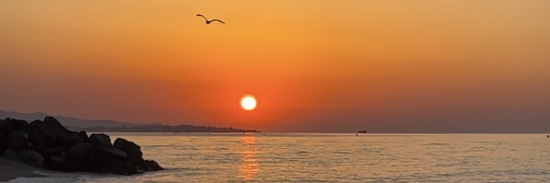 claudia velez banner