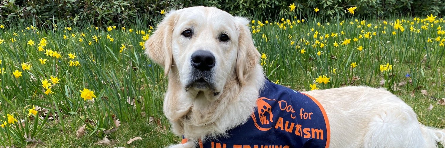 Dogs for Autism banner