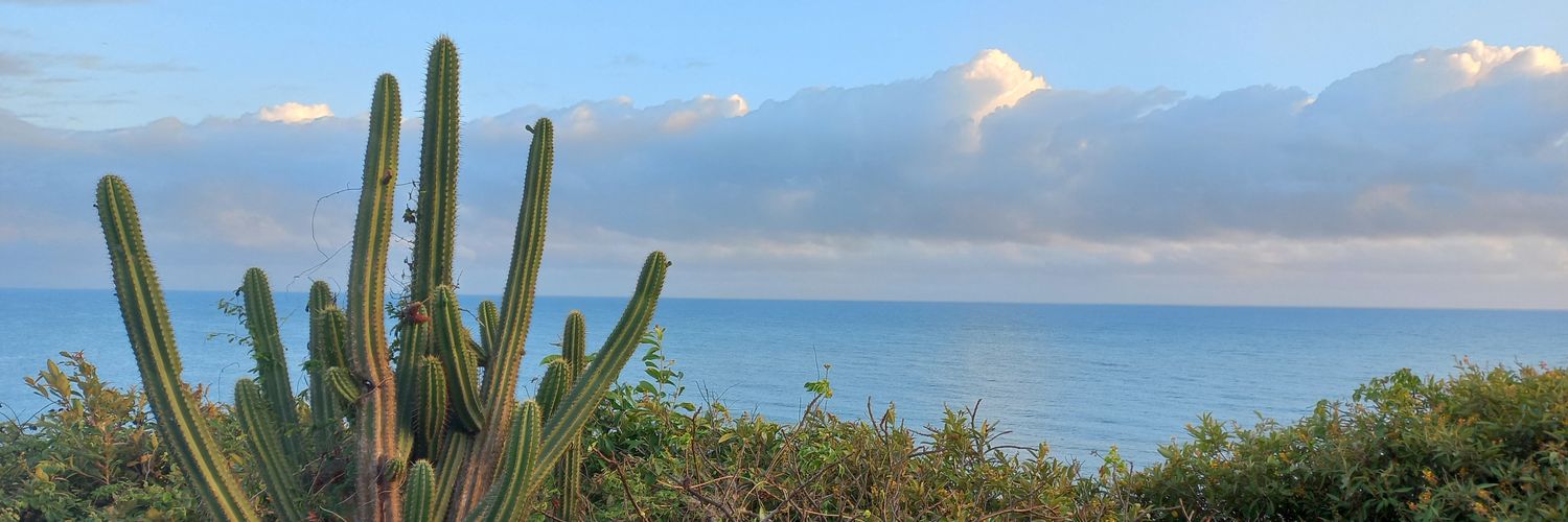 raulfeitoza's profile banner image
