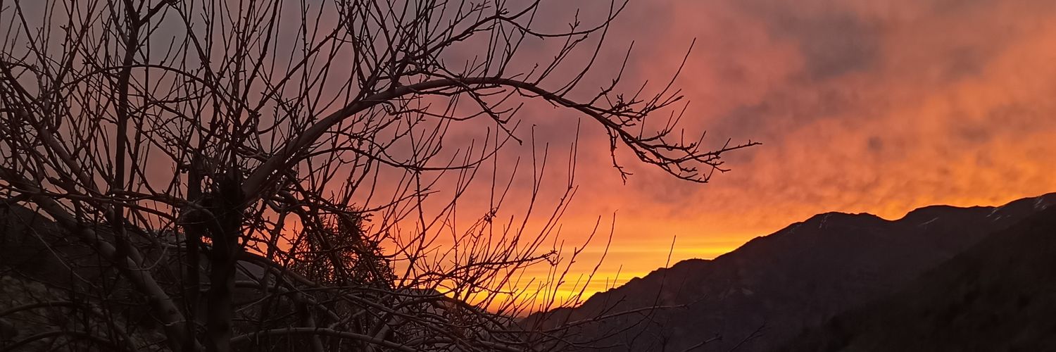 ContrerasKev_'s profile banner image
