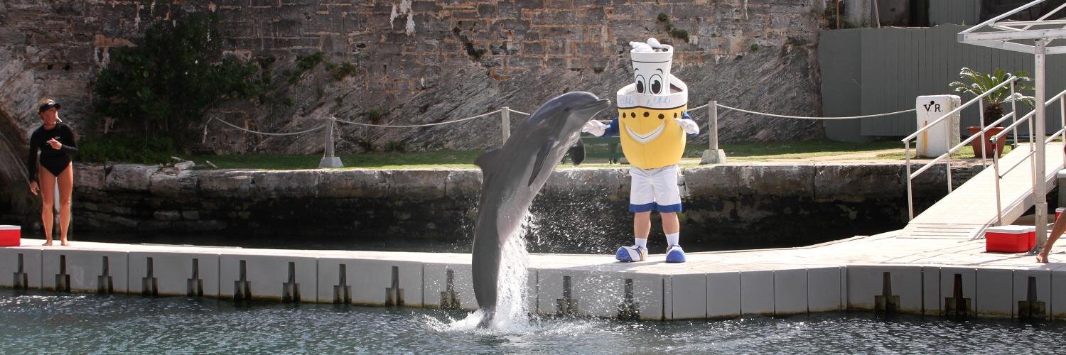 BuddyCruise's profile banner image
