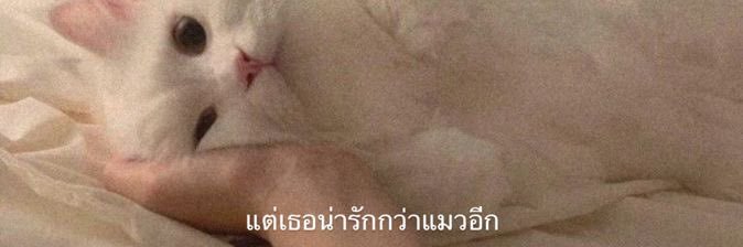 🦊🫶🏻 banner
