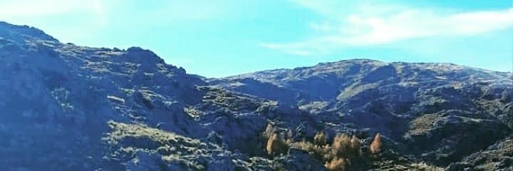 Vale 😄☕⛱️🎤 banner