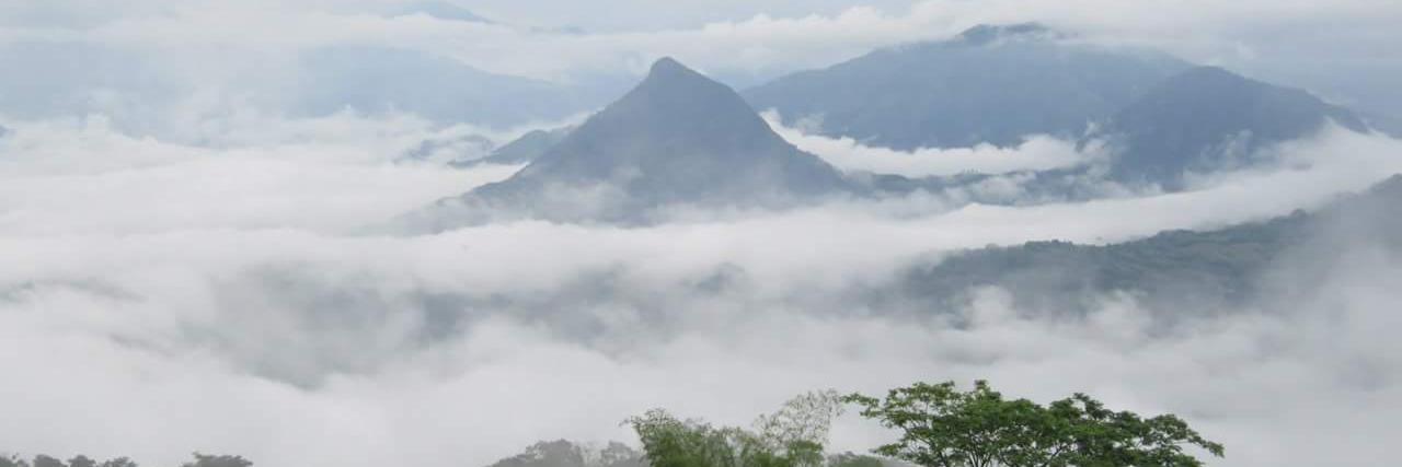 PROVINCIA CARTAMA banner