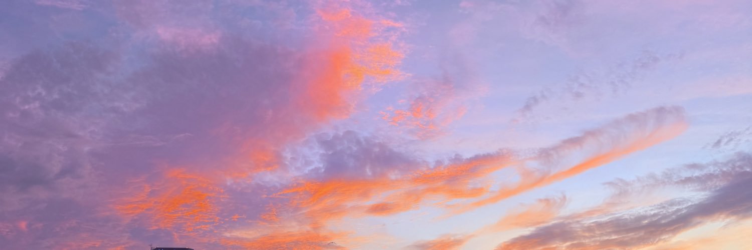 staygorjaz's profile banner image