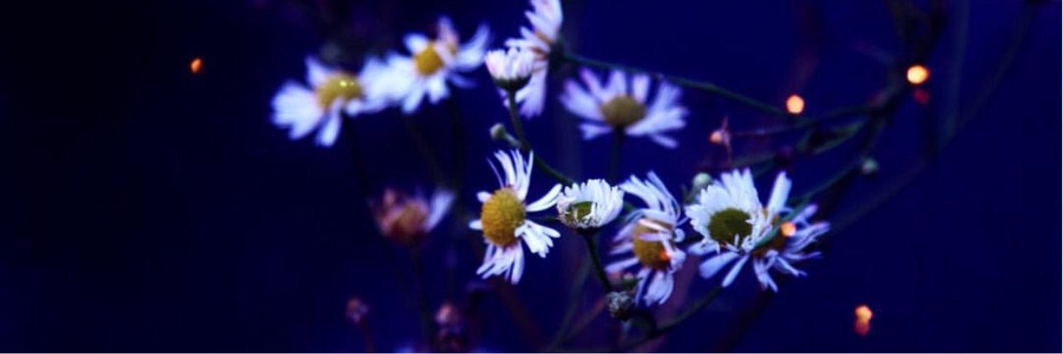 Ohoud_BN's profile banner image