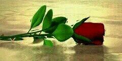 mariaany2's profile banner image
