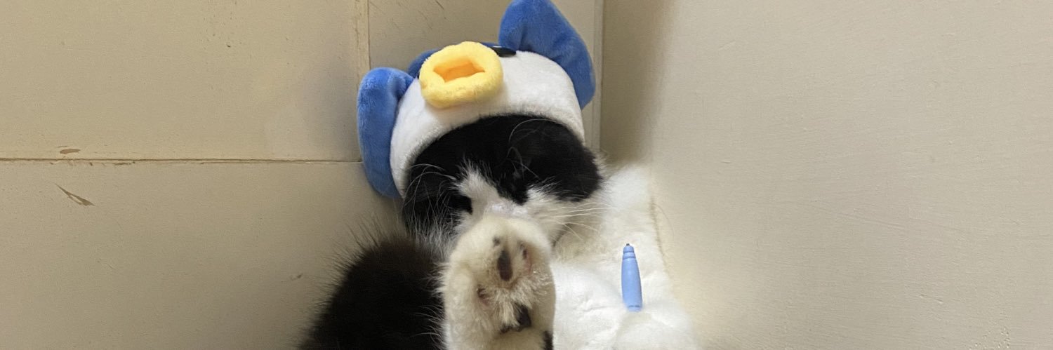 Reyhan Sofian banner